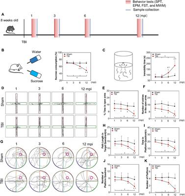 Adolescent traumatic brain injury leads to incremental neural impairment in middle-aged mice: role of persistent oxidative stress and neuroinflammation